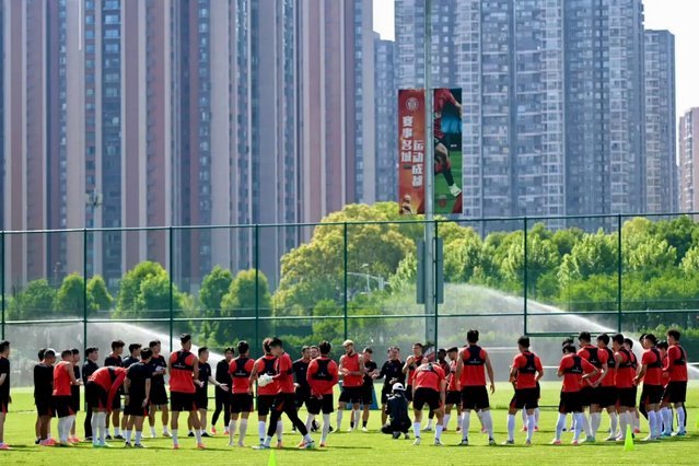 申花主场观赛人数或创新纪录