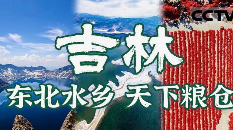 东北人，一次不屈