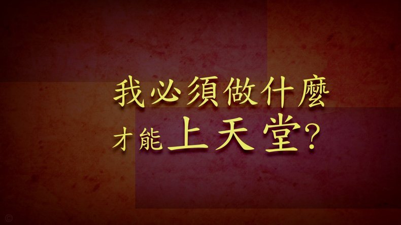 我为什么敢说董路的留洋小将以后成材率会很高！！！