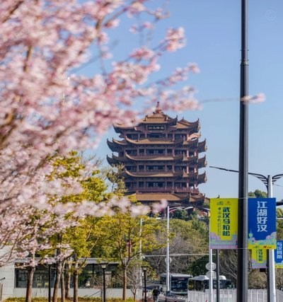 定档！南马十年！2026南京马拉松开启报名，全新规则速看